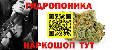 jwh Долгопрудный