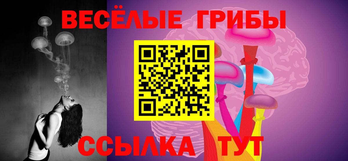 Галлюциногенные грибы мицелий  Вход с VPN  Бийск 